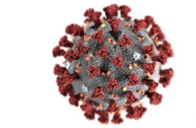 Coronavirus Case Confirmed in Tennessee